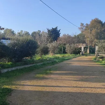 La Controra *